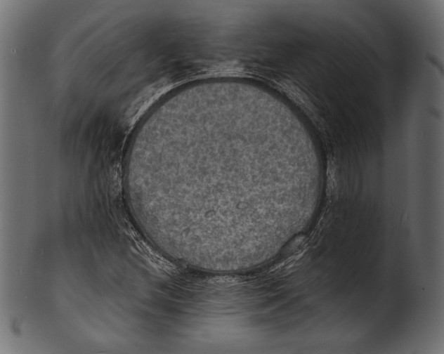 X0000100851212200807181049