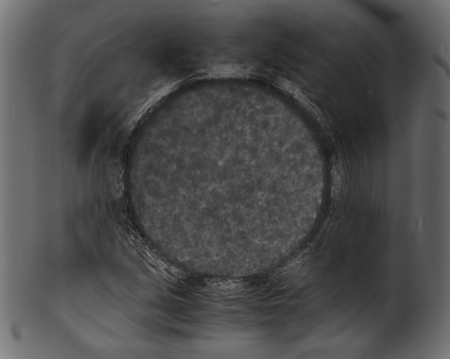 X0000100851213200807181049