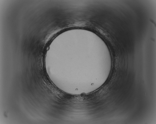 X0000100851214200807181049