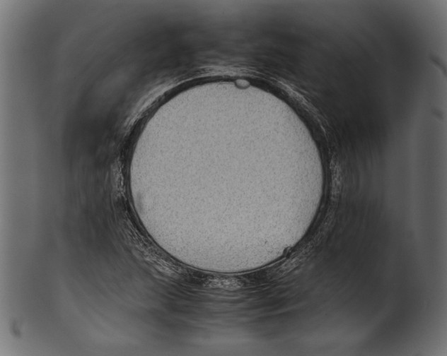 X0000100851215200807181049