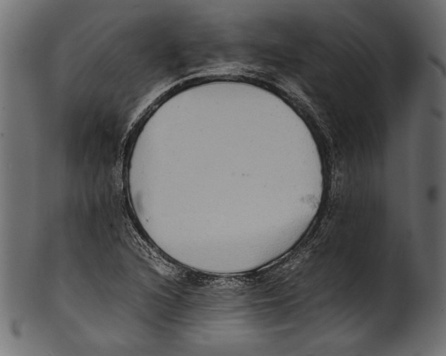 X0000100851216200807181049