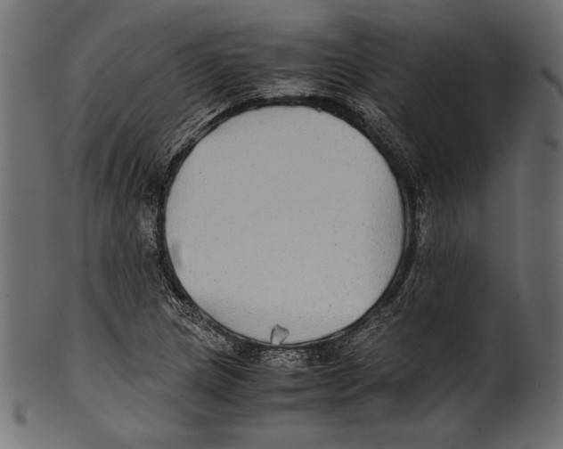 X0000100851217200807181049