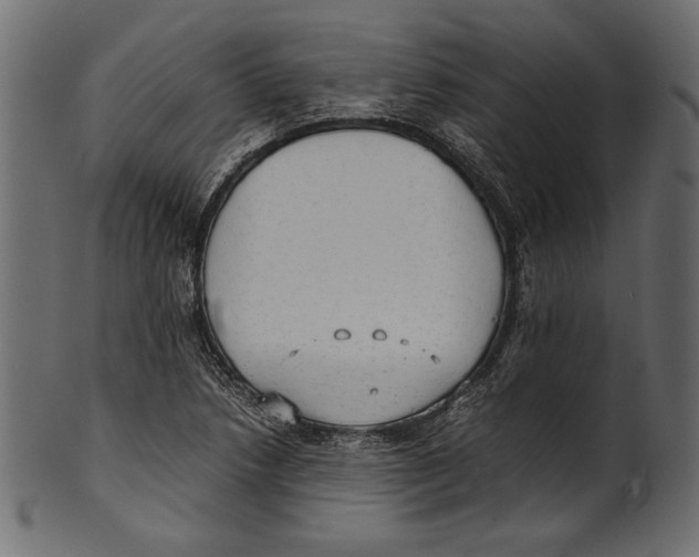 X0000100851218200807181049