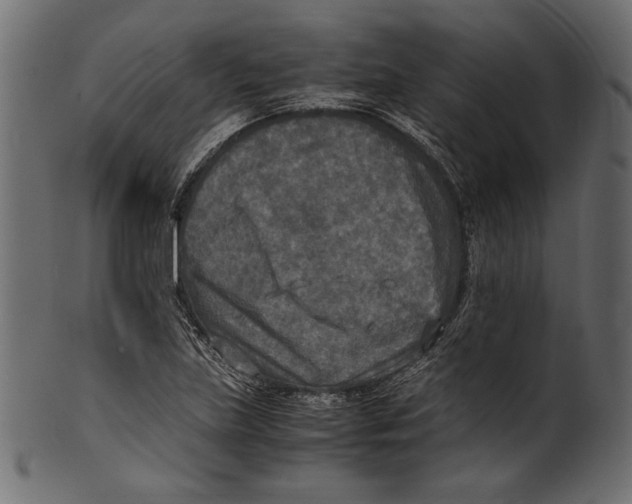 X0000100851219200807181049