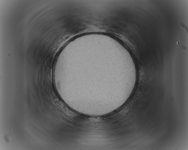 X0000100851220200807181049