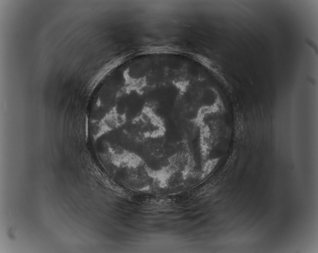 X0000100851221200807181049