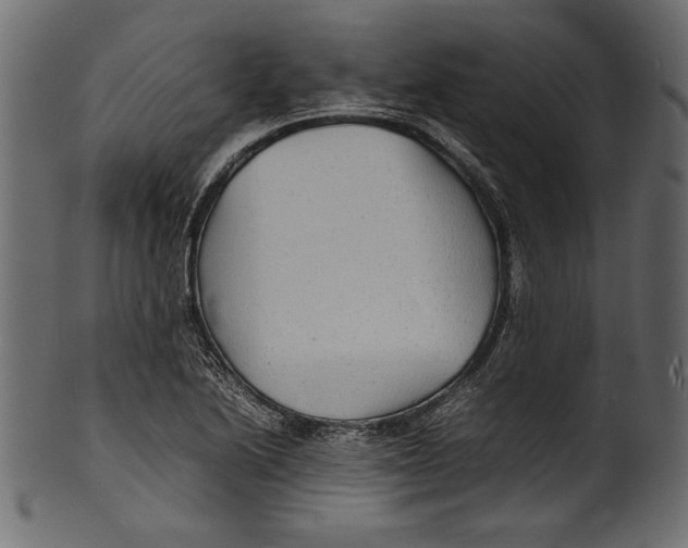 X0000100851222200807181049