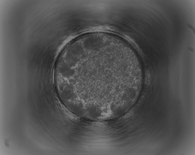 X0000100851224200807181049