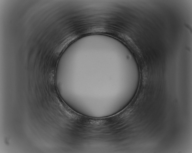 X0000100851225200807181049