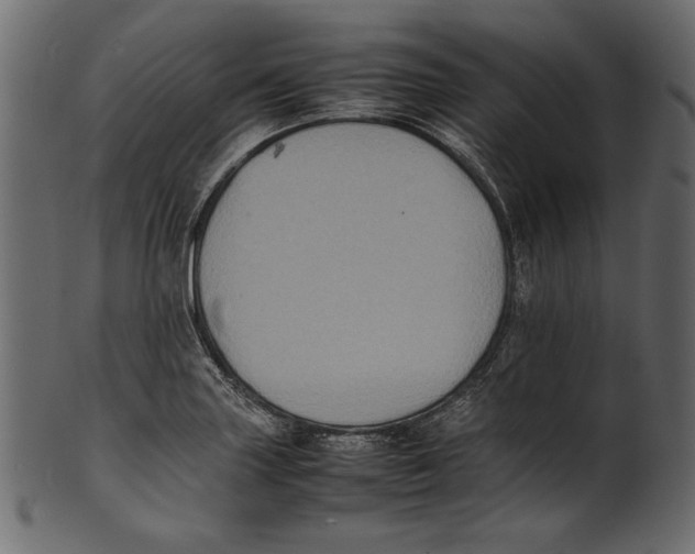 X0000100851227200807181049