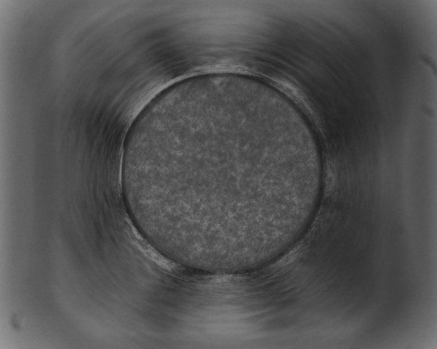 X0000100851228200807181049