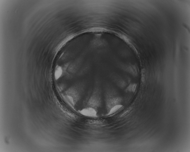 X0000100851229200807181049