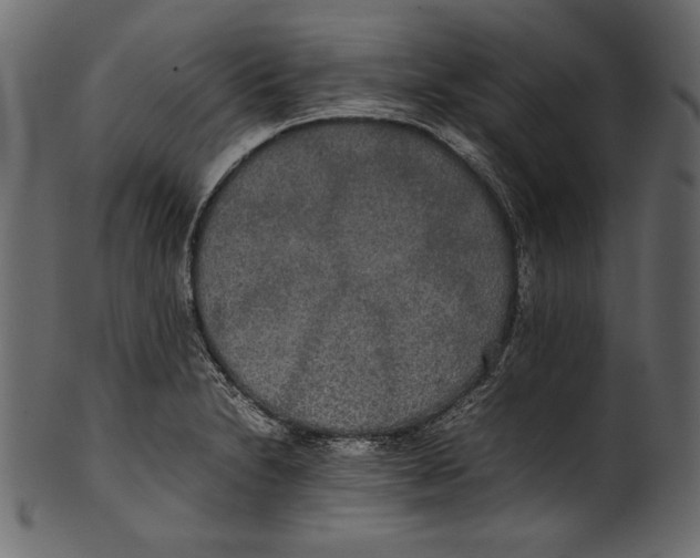 X0000100851230200807181049