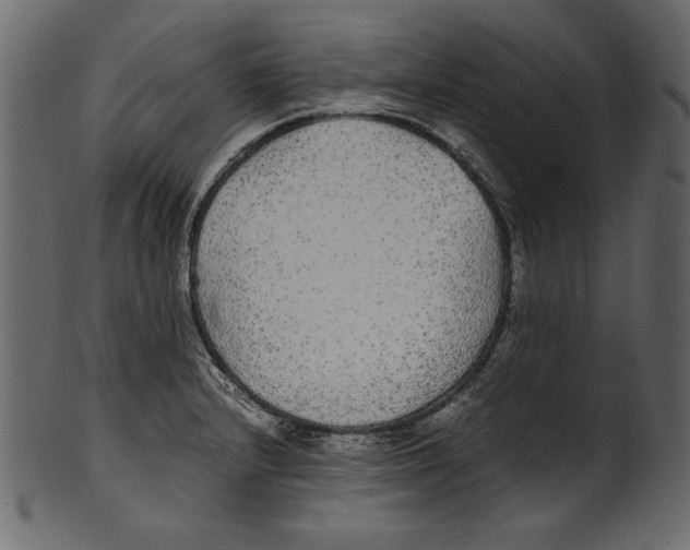 X0000100851232200807181049