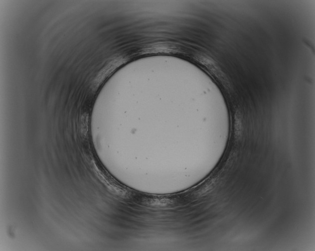 X0000100851233200807181049