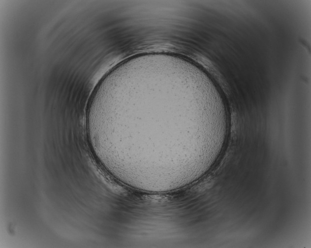X0000100851234200807181049