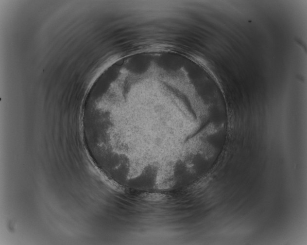 X0000100851235200807181049
