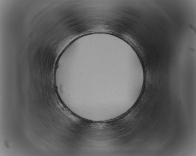 X0000100851236200807181049