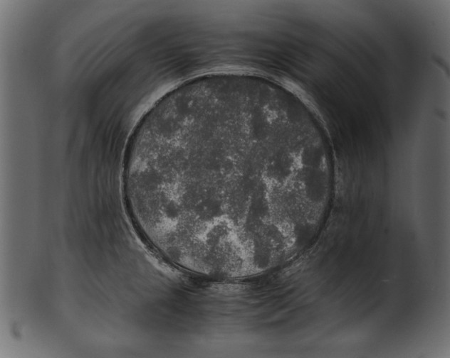 X0000100851237200807181049