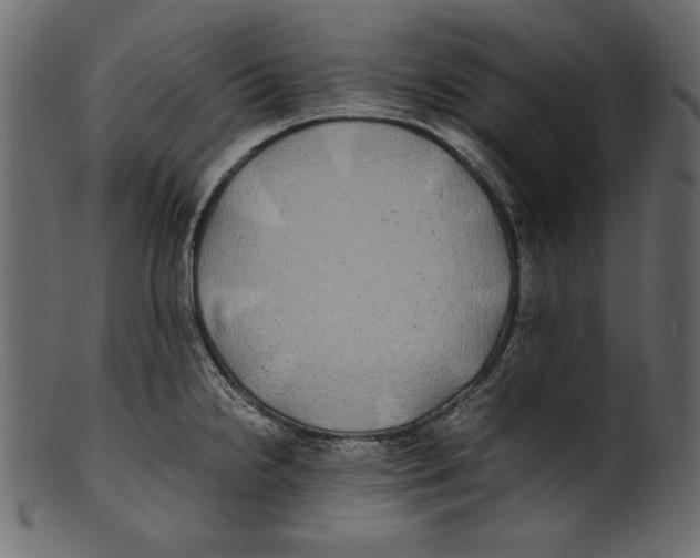 X0000100851238200807181049