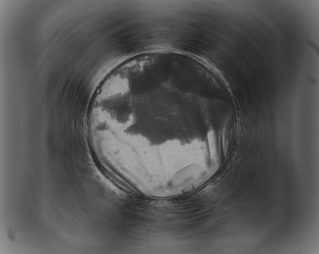 X0000100851239200807181049