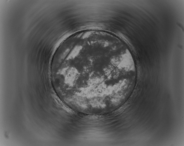 X0000100851240200807181049
