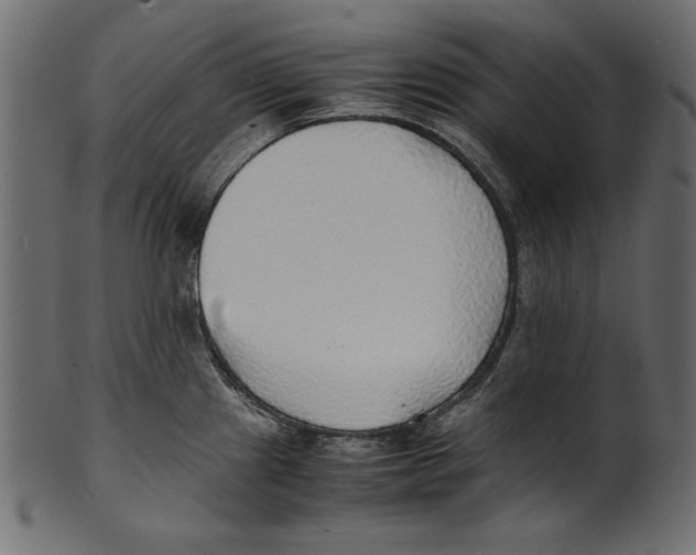 X0000100851241200807181049