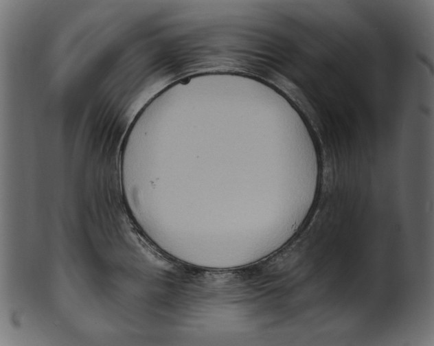 X0000100851242200807181049