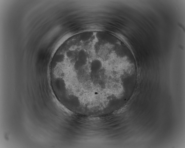 X0000100851243200807181049