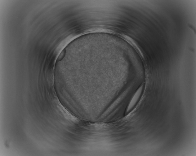 X0000100851244200807181049
