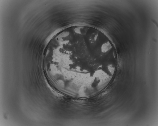 X0000100851245200807181049