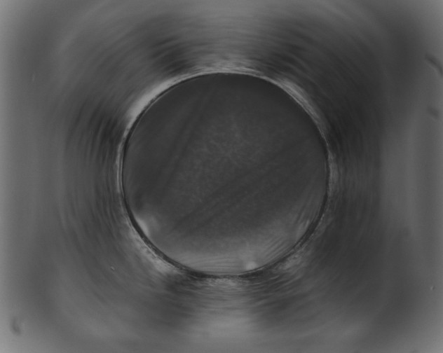 X0000100851246200807181049