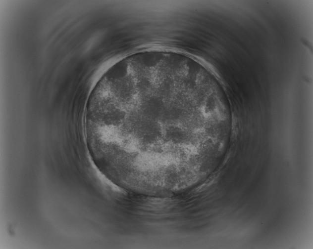 X0000100851247200807181049