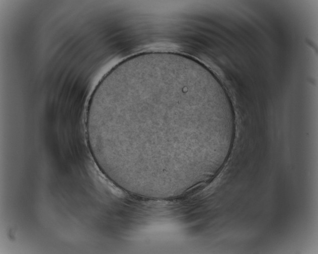 X0000100851248200807181049
