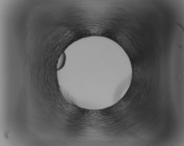 X0000100851249200807181048