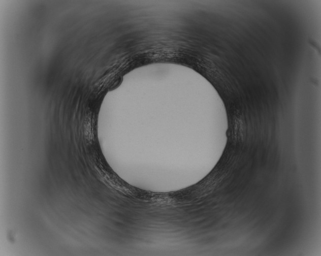 X0000100851250200807181048