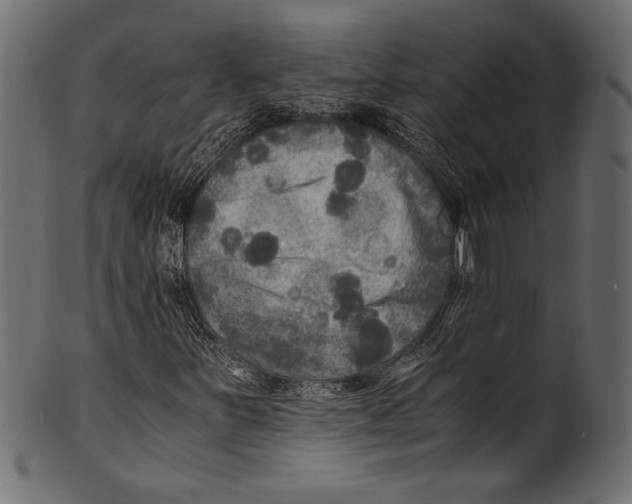X0000100851251200807181048