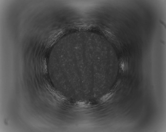 X0000100851252200807181048