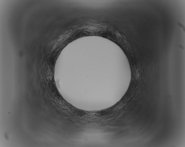X0000100851253200807181048