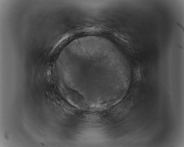 X0000100851254200807181048