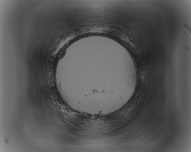 X0000100851256200807181048