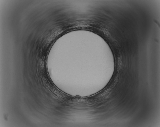 X0000100851257200807181048
