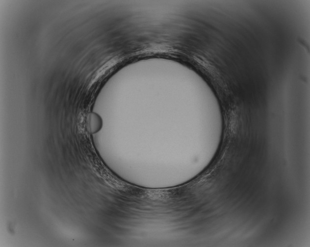 X0000100851258200807181048