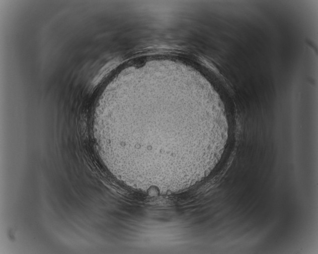 X0000100851259200807181048
