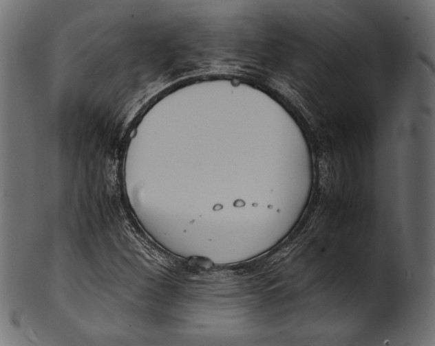 X0000100851260200807181048