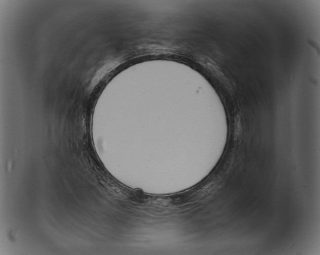 X0000100851261200807181048
