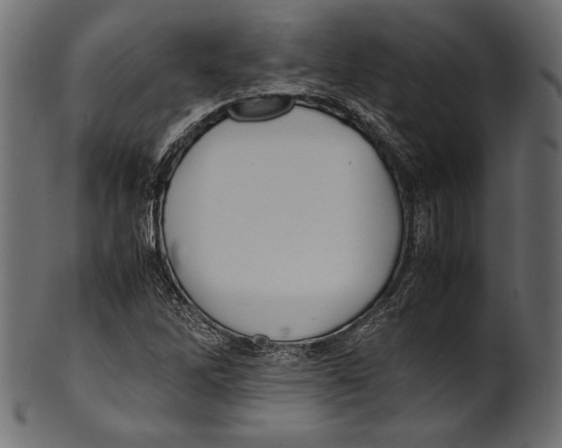 X0000100851262200807181048
