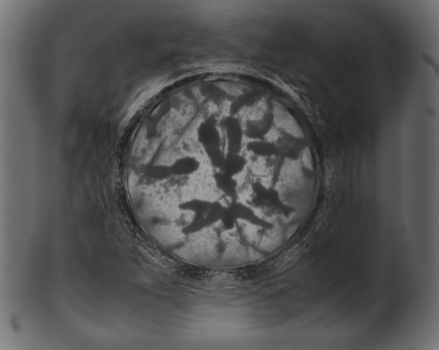 X0000100851263200807181048