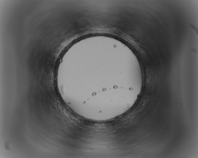 X0000100851264200807181048