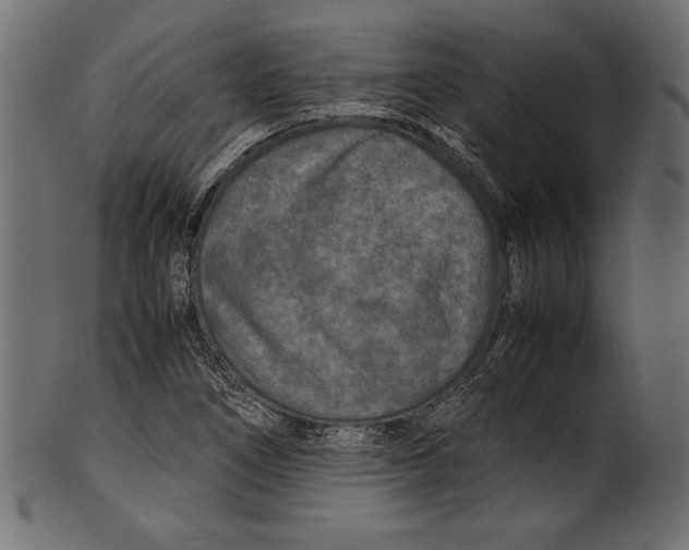 X0000100851266200807181048